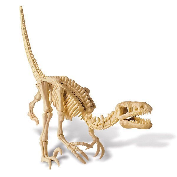 Arheologa komplekts "Izrakt dinozauru Velociraptor" 4M cena un informācija | Attīstošās rotaļlietas | 220.lv