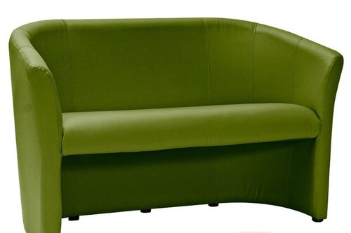 Dīvāns Tm-2, zaļš cena un informācija | Dīvāni | 220.lv