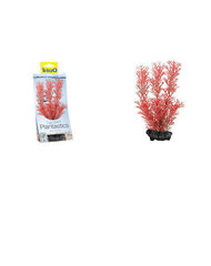 Искусственное растение Foxtail Red цена и информация | Аквариумные растения и декорации | 220.lv