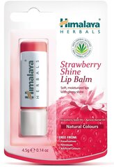 Mitrinošs lūpu balzams Himalaya Herbals Strawberry Shine 4.5 g цена и информация | Помады, бальзамы, блеск для губ | 220.lv