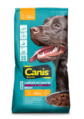 Canis сухой корм с домашней птицей для взрослых собак, 3 кг цена и информация |  Сухой корм для собак | 220.lv