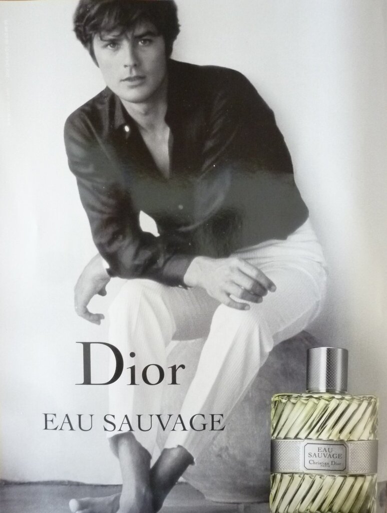 Tualetes ūdens Christian Dior Eau Sauvage edt 50 ml цена и информация | Vīriešu smaržas | 220.lv