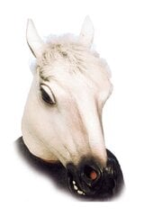 Zirgu maska cena un informācija | Karnevāla kostīmi, maskas un parūkas | 220.lv