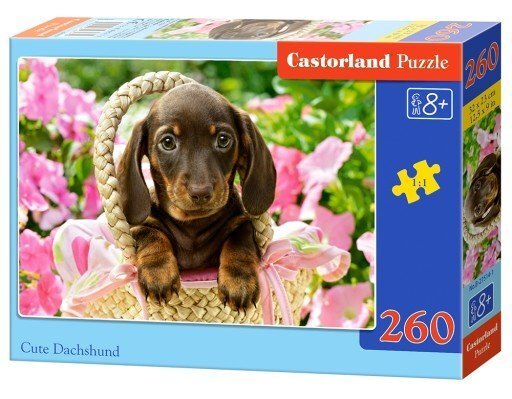 Puzle Cute Dachshund Castorland, 260 gab. цена и информация | Puzles, 3D puzles | 220.lv