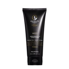 Mitrinošs un izlīdzinošs matu kondicionieris Paul Mitchell Awapuhi Mirrorsmooth, 200 ml цена и информация | Шампуни | 220.lv