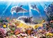 Puzle "Dolphins Underwater" Castorland, 500 gab. cena un informācija | Puzles, 3D puzles | 220.lv