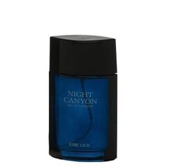 Tualetes ūdens Real Time Night Canyon edt 100 ml cena un informācija | Vīriešu smaržas | 220.lv