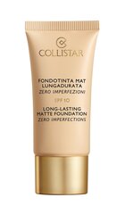 (Long Lasting Matte Foundation) SPF 10 (Long Lasting Matte Foundation) 30 ml цена и информация | Пудры, базы под макияж | 220.lv