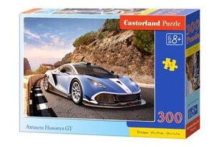 Пазл "Arrinera Hussarya GT" Castorland, 300 шт цена и информация | Пазлы | 220.lv