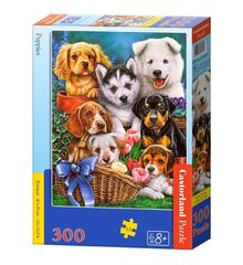 Пазл Puppies, Castorland, 300 шт. цена и информация | Пазлы | 220.lv