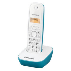 Panasonic KX-TG1611, белый цена и информация | Стационарные телефоны | 220.lv