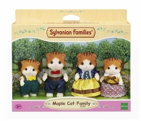 SYLVANIAN FAMILIES Семейка Мраморной кошки цена и информация | Игрушки для девочек | 220.lv