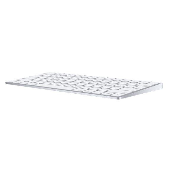 Klaviatūra Apple Magic MLA22LL/A цена и информация | Klaviatūras | 220.lv