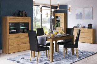 2 krēslu komplekts Kama 101, krāsa melna / ozola krāsa cena un informācija | Virtuves un ēdamistabas krēsli | 220.lv