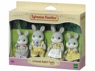 Trušu ģimene Sylvanian Families цена и информация | Игрушки для девочек | 220.lv