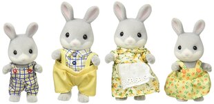 Trušu ģimene Sylvanian Families цена и информация | Игрушки для девочек | 220.lv