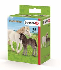 Figūriņu komplekts Schleich cena un informācija | Rotaļlietas zēniem | 220.lv