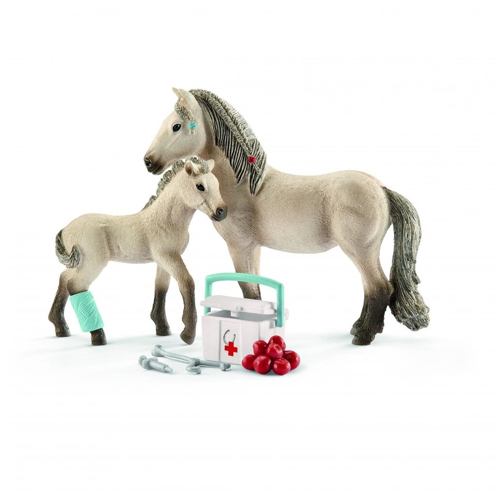 Pirmās palīdzības komplekts Hannah SCHLEICH HORSE CLUB цена и информация | Rotaļlietas zēniem | 220.lv
