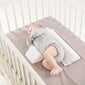 Doomoo BASICS Baby Sleep atbalsta spilvens цена и информация | Spilveni, guļammaisi, konverti jaundzimušajiem | 220.lv