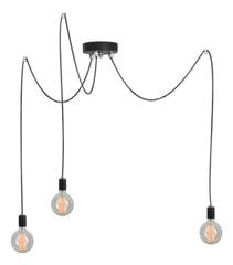 Lampex светильник Ragno 3 цена и информация | Настенный/подвесной светильник Eye Spot 11 BL, чёрный | 220.lv
