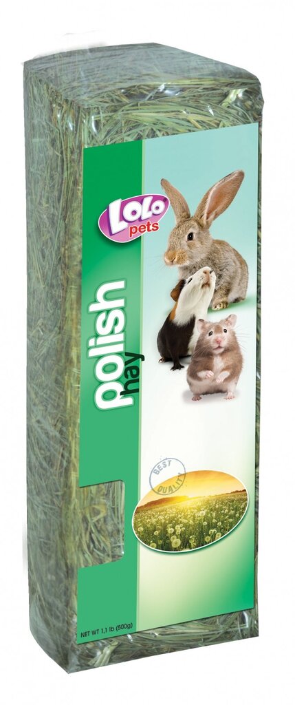 Lolo Pets siens grauzējiem, 500 g цена и информация | Pakaiši, siens grauzējiem | 220.lv