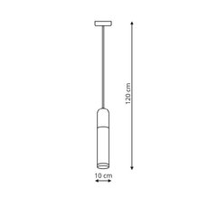 Light Prestige griestu lampa FANO 1 cena un informācija | Piekaramās lampas | 220.lv