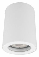 Light Prestige подвесная лампа FARO цена и информация | Потолочные светильники | 220.lv
