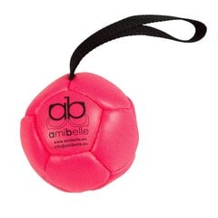Amibelle piepūšamā bumba suņiem, rozā 10 cm cena un informācija | Suņu rotaļlietas | 220.lv