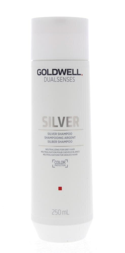 Goldwell Dualsenses Silver šampūns 250ml cena un informācija | Šampūni | 220.lv