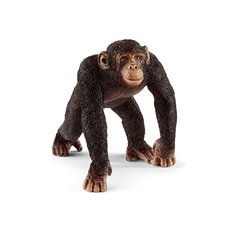 Фигурка шимпанзе Schleich цена и информация | Игрушки для мальчиков | 220.lv