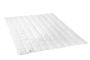 Одеяло Dream, 200x220 см цена и информация | Одеяла | 220.lv