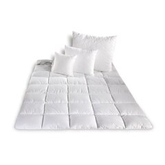 Одеяло Micro II + 2 подушки, 160x200 см цена и информация | Одеяла | 220.lv