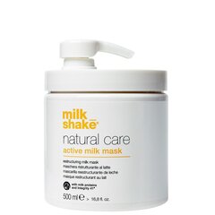 Matu maska sausiem un bojātiem matiem Milk Shake Active Milk 500 ml cena un informācija | Matu uzlabošanai | 220.lv