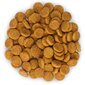 Hill's sausā barība Canine Adult Sensitive Stomach & Skin, 3 kg cena un informācija | Sausā barība suņiem | 220.lv