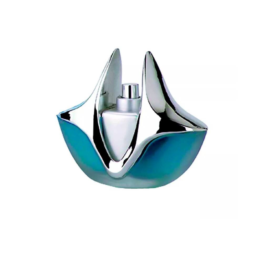 Parfimērijas ūdens Linn Young Silver Light edp 100 ml cena un informācija | Sieviešu smaržas | 220.lv