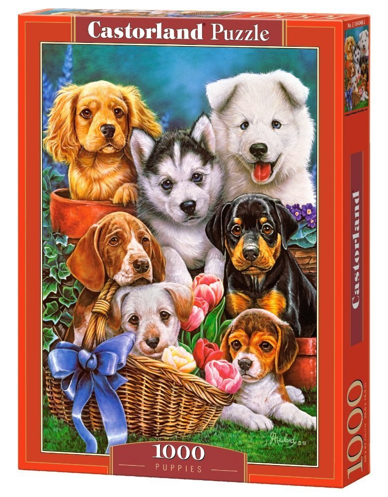 Puzle Castorland "Puppies", 1000 d. цена и информация | Puzles, 3D puzles | 220.lv