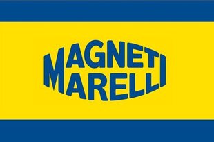 Automašīnas ksenona spuldze MAGNETI MARELLI D2R 4600k cena un informācija | Auto spuldzes | 220.lv