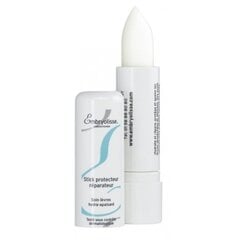 Бальзам для губ Embryolisse Protective Repair Stick 4 г цена и информация | Помады, бальзамы, блеск для губ | 220.lv