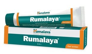 HIMALAYA Rumalaya gel 30g цена и информация | Кремы, лосьоны для тела | 220.lv