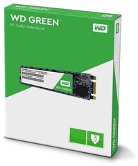 Western Digital Green 240GB M.2 SATA3 (WDS240G2G0B) cena un informācija | Iekšējie cietie diski (HDD, SSD, Hybrid) | 220.lv