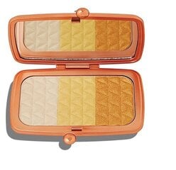 Румяна Makeup Revolution Renaissance Illuminate Highlighter Palette Cleaming Gold 14 г цена и информация | Бронзеры (бронзаторы), румяна | 220.lv