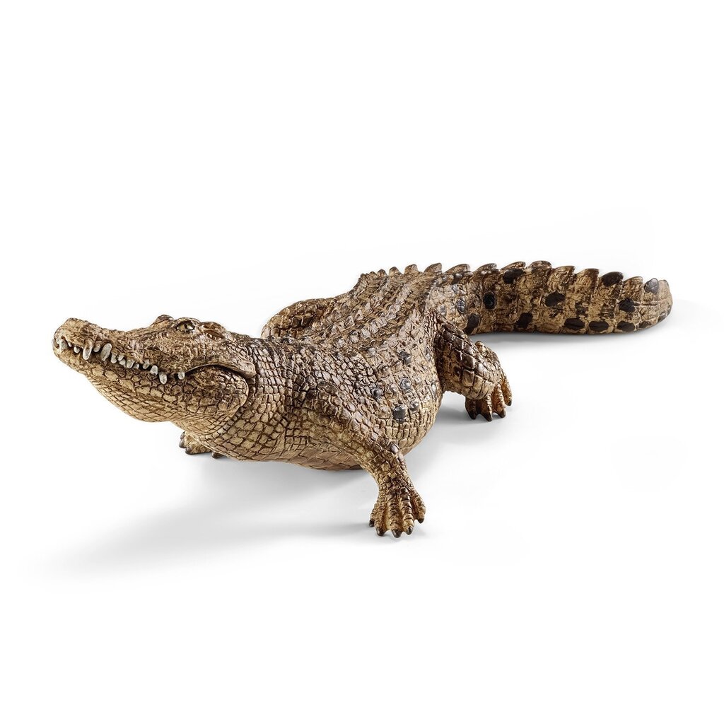 Крокодил SCHLEICH цена | 220.lv