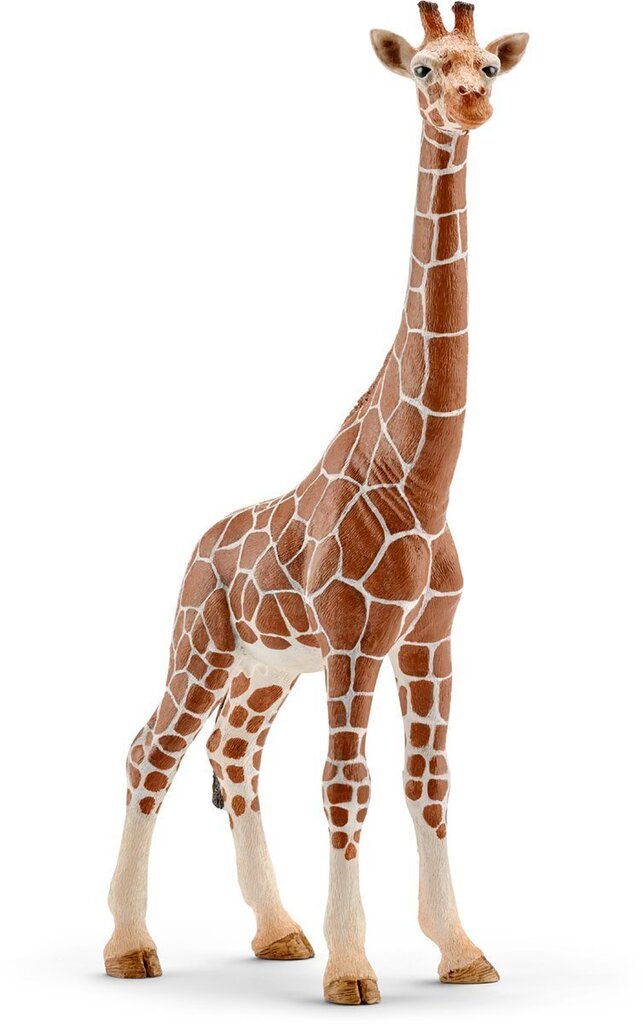 Figūriņa Žirafe Schleich цена и информация | Rotaļlietas zēniem | 220.lv