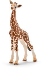 Фигурка Детеныш жирафа Schleich цена и информация | Игрушки для мальчиков | 220.lv