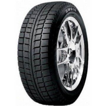 Goodride SW618 215/50R17 95 H XL cena un informācija | Ziemas riepas | 220.lv