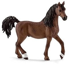 Фигурка лошади арабской породы лошади, Schleich цена и информация | Игрушки для мальчиков | 220.lv