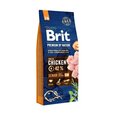 Brit Premium By Nature Senior Small Medium S+M,3 Kg