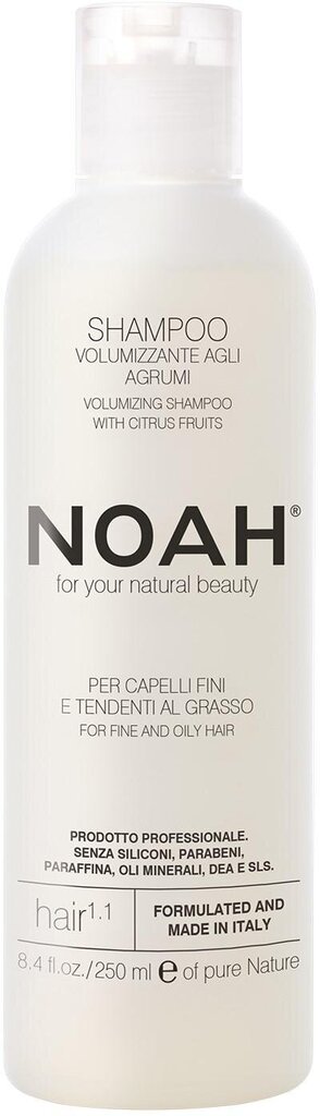 Šampūns taukainiem matiem Noah 250 ml cena un informācija | Šampūni | 220.lv