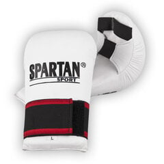 Боксерские перчатки inSPORTline Spartan Boxing цена и информация | Боевые искусства | 220.lv