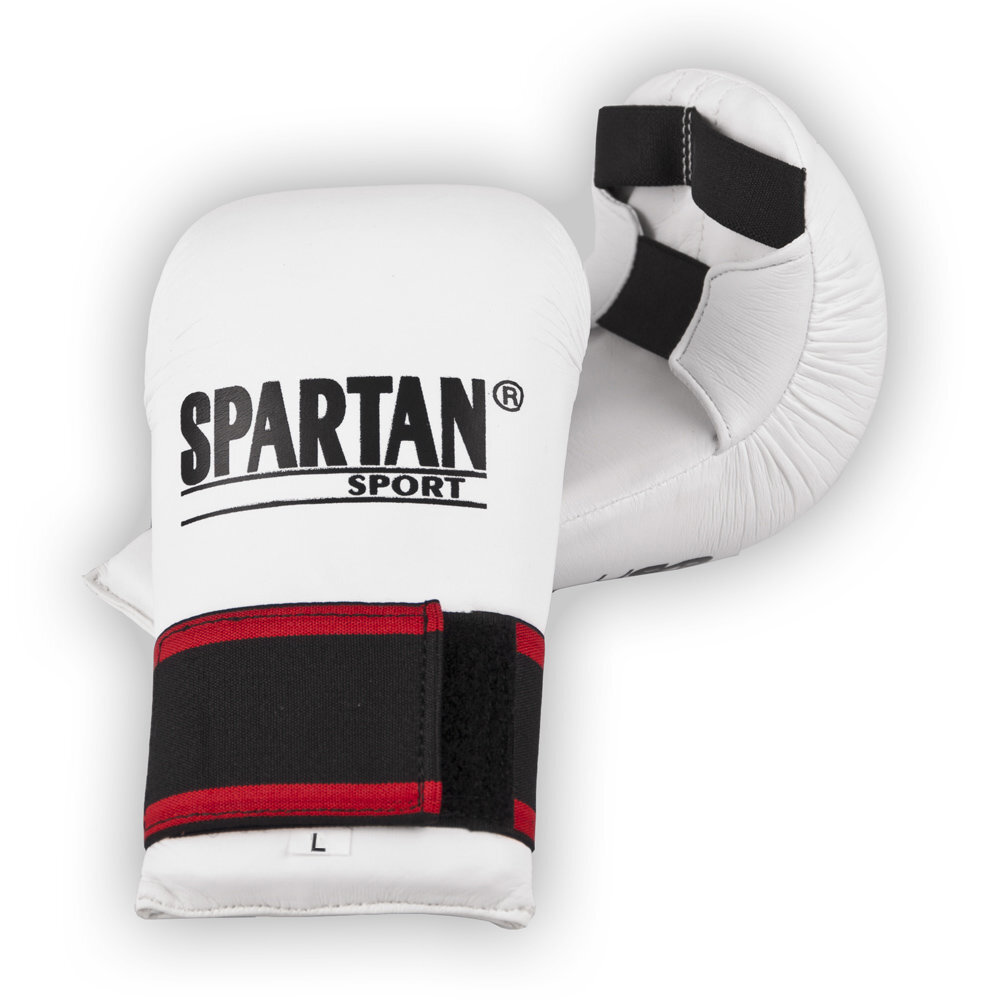 Boksa cimdi inSPORTline Spartan Boxing цена и информация | Bokss un austrumu cīņas | 220.lv